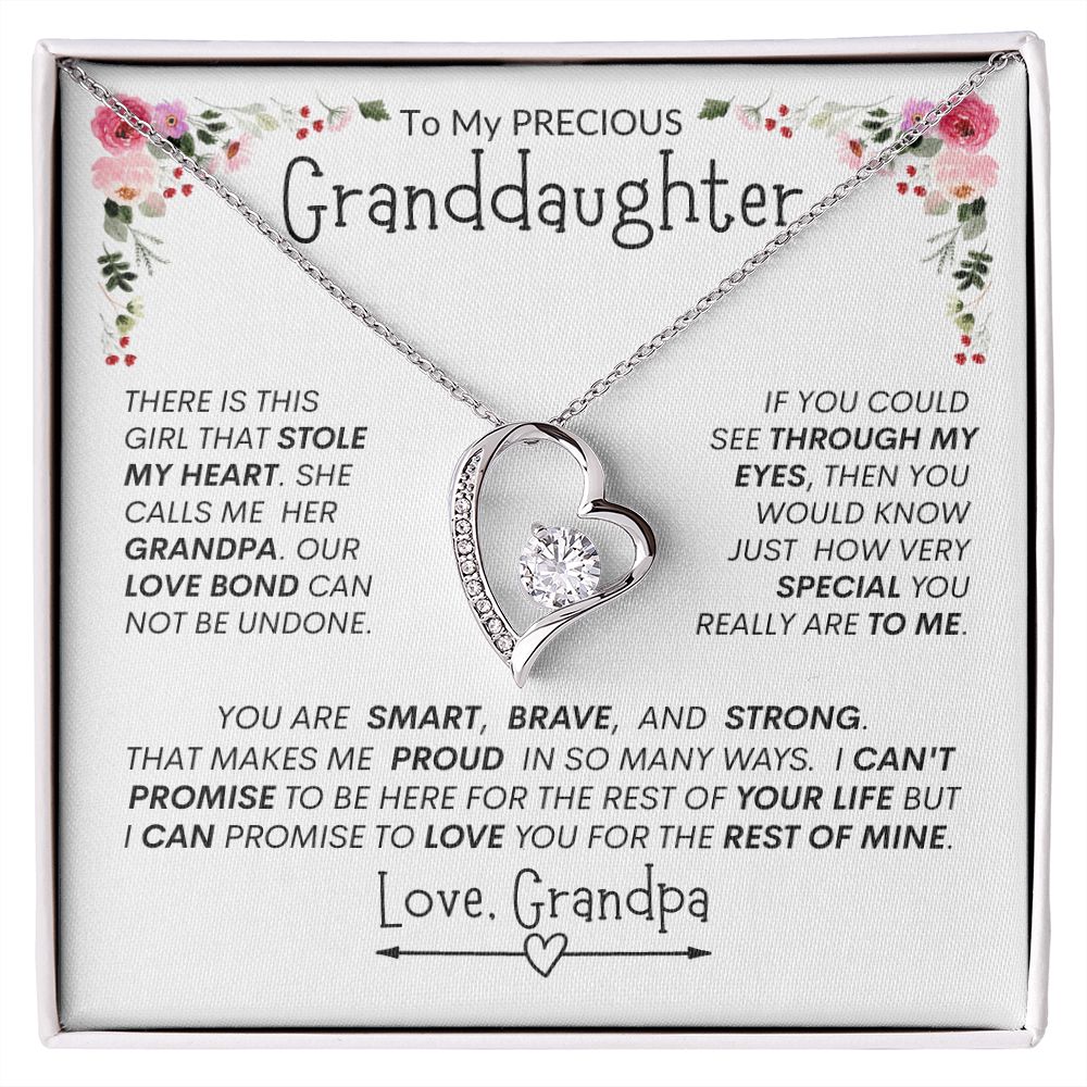 Granddaughter "The Girl Who Stole My Heart" -- Forever Heart Necklace