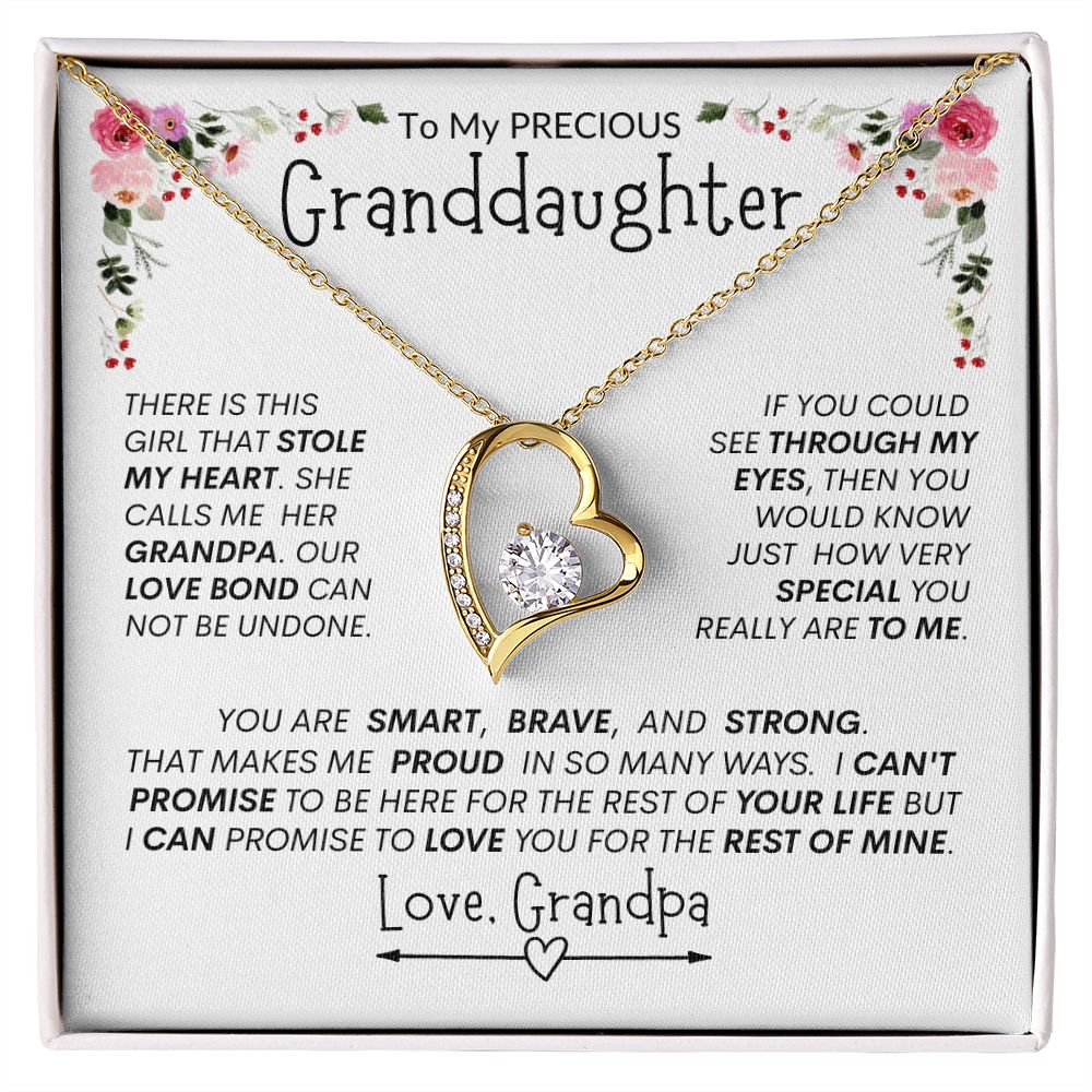Granddaughter "The Girl Who Stole My Heart" -- Forever Heart Necklace