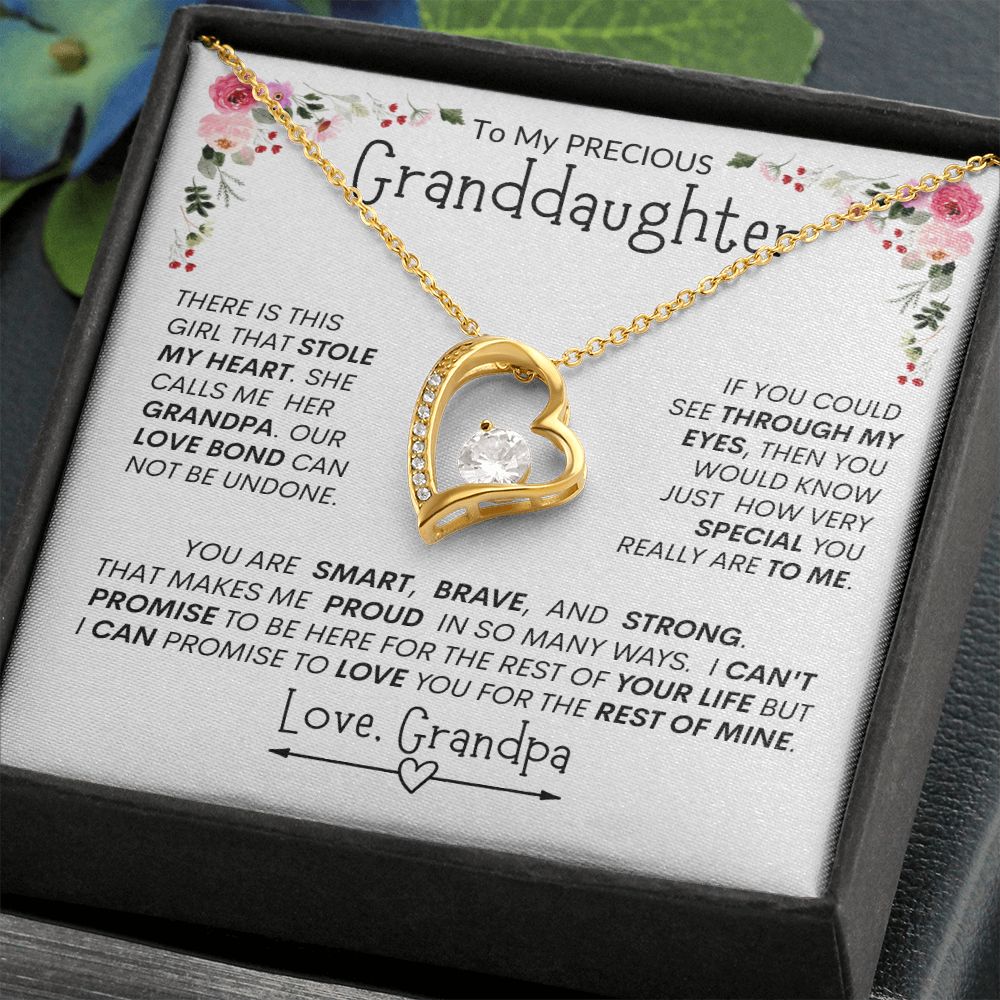 Granddaughter "The Girl Who Stole My Heart" -- Forever Heart Necklace