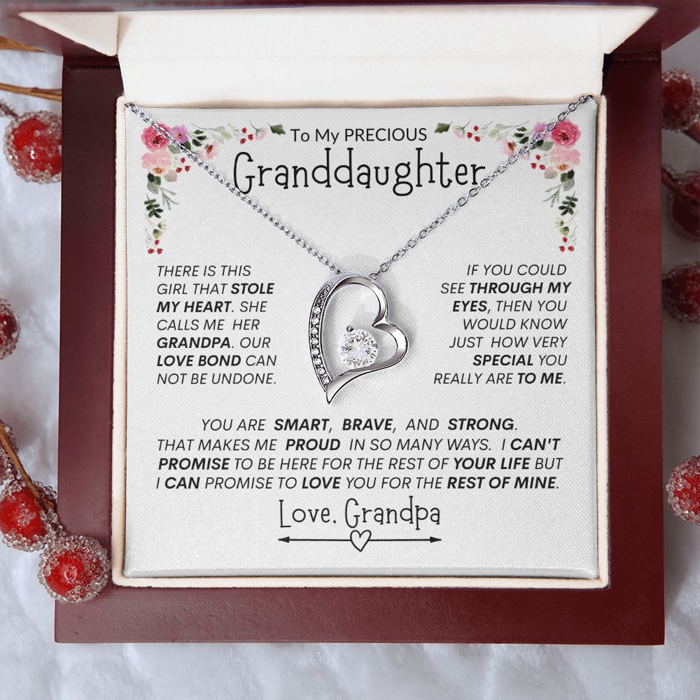 Granddaughter "The Girl Who Stole My Heart" -- Forever Heart Necklace