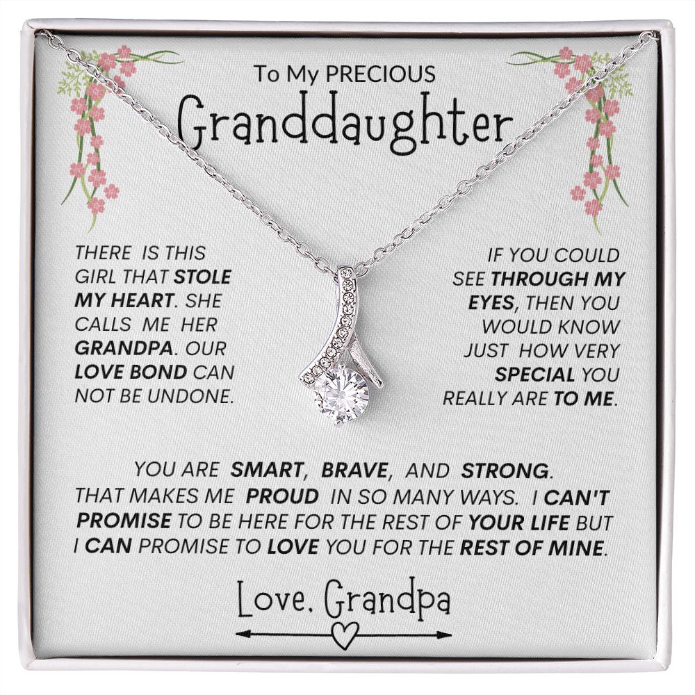 Granddaughter from Grandpa "Stolen Heart, Unbreakable Bond" -- Alluring Heart Necklace