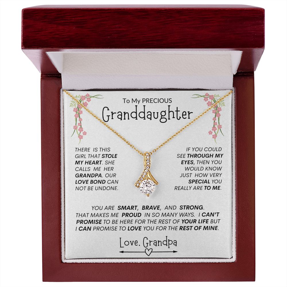 Granddaughter from Grandpa "Stolen Heart, Unbreakable Bond" -- Alluring Heart Necklace