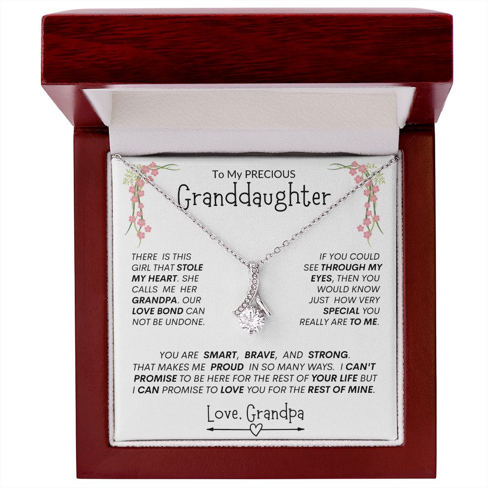 Granddaughter from Grandpa "Stolen Heart, Unbreakable Bond" -- Alluring Heart Necklace