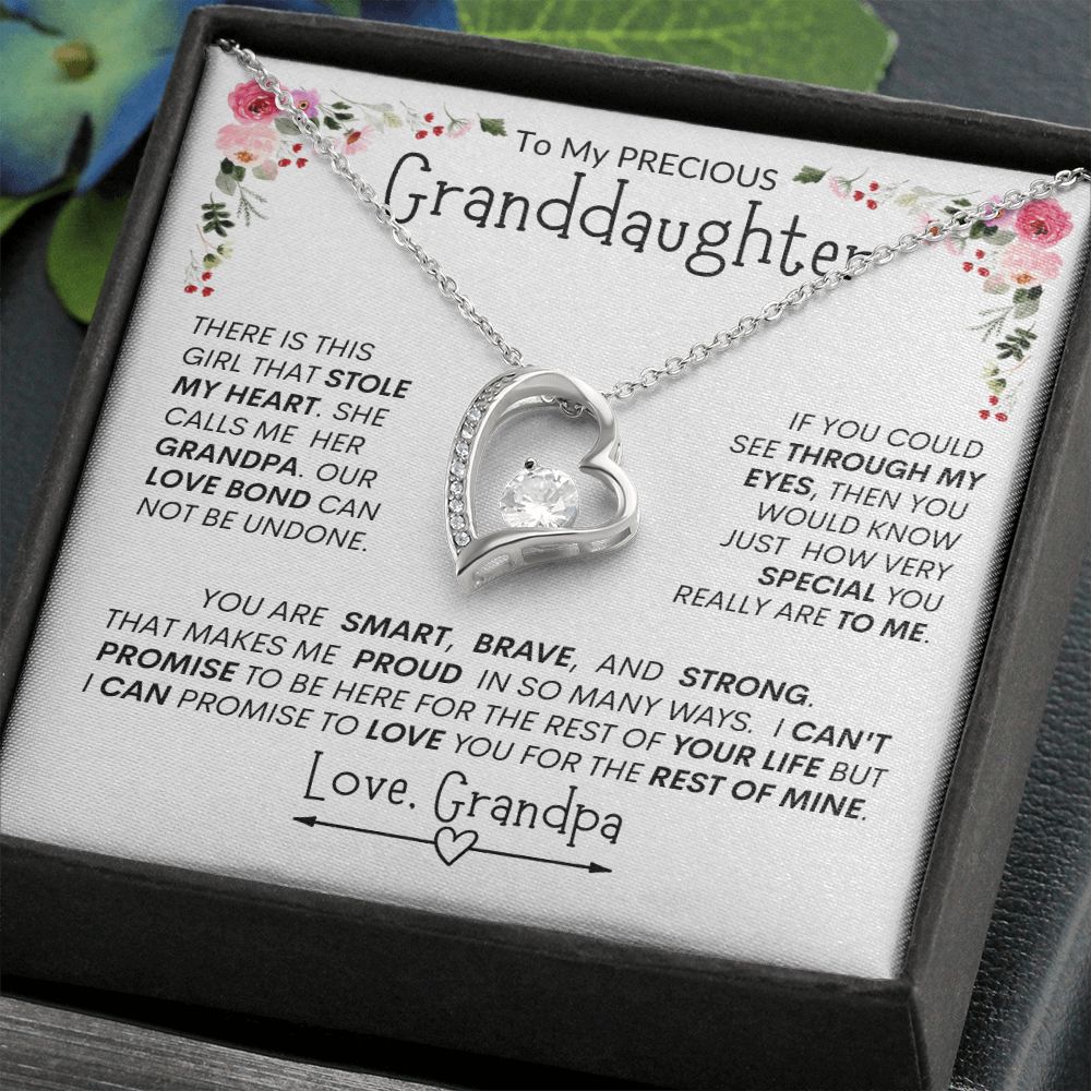 Granddaughter "The Girl Who Stole My Heart" -- Forever Heart Necklace