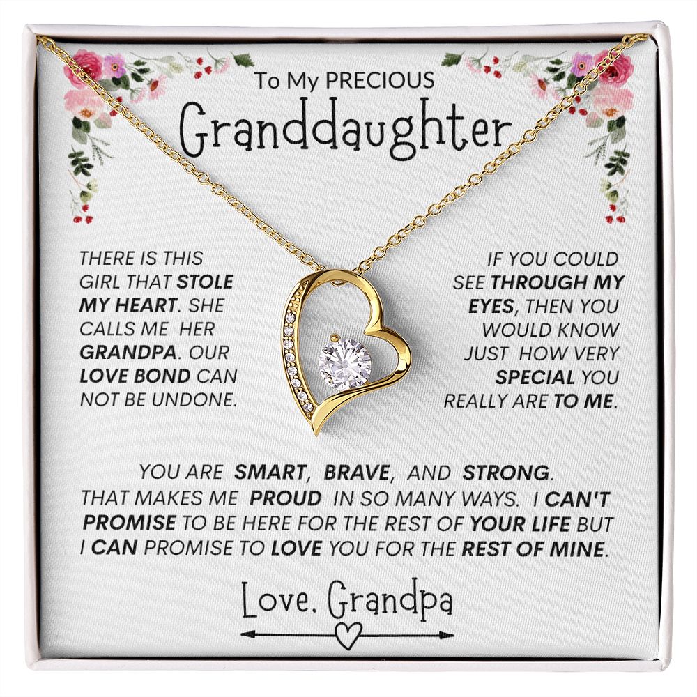 Granddaughter "This Brave, Smart, Strong Girl Stole My Heart " l Forever Love Necklace