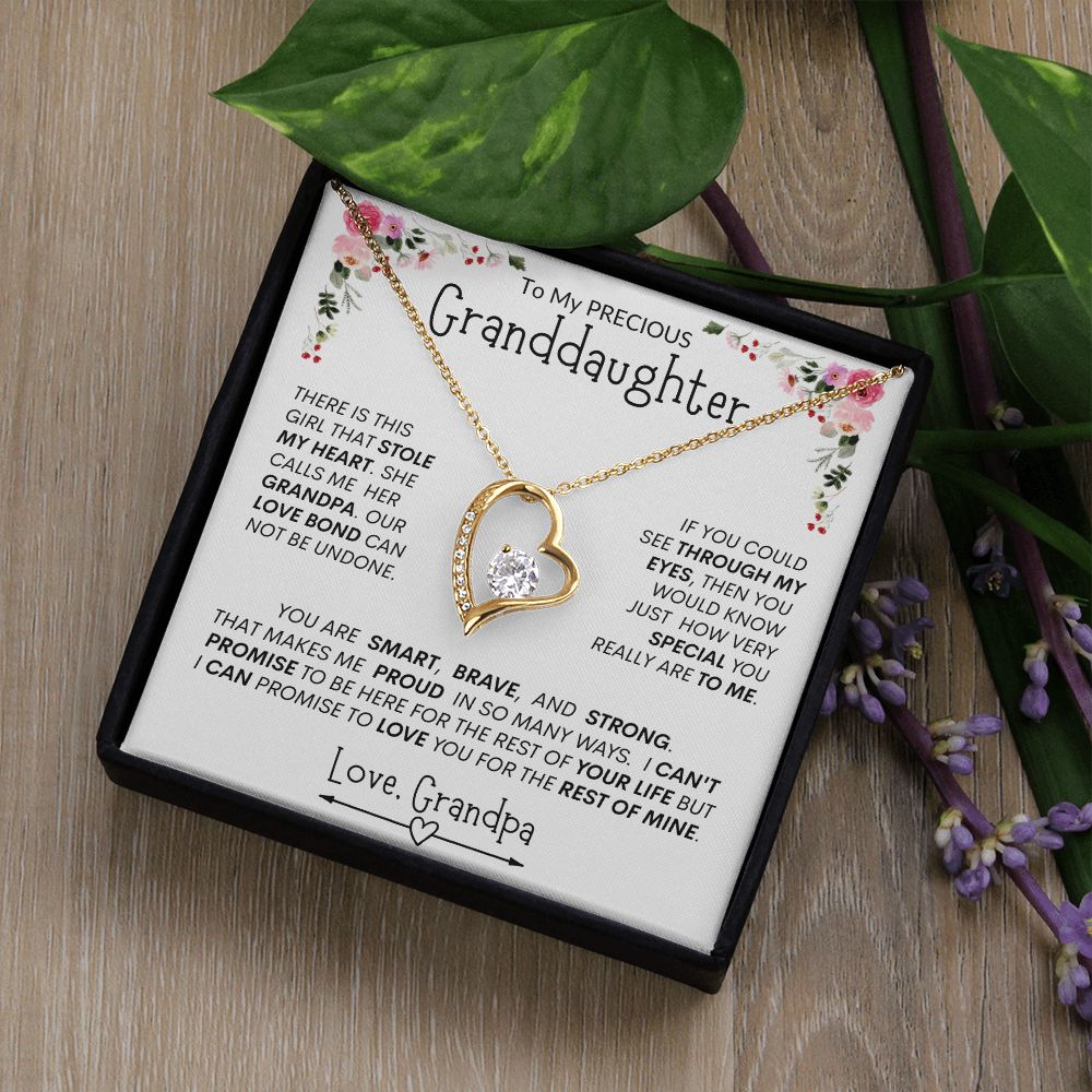 Granddaughter "This Brave, Smart, Strong Girl Stole My Heart " l Forever Love Necklace