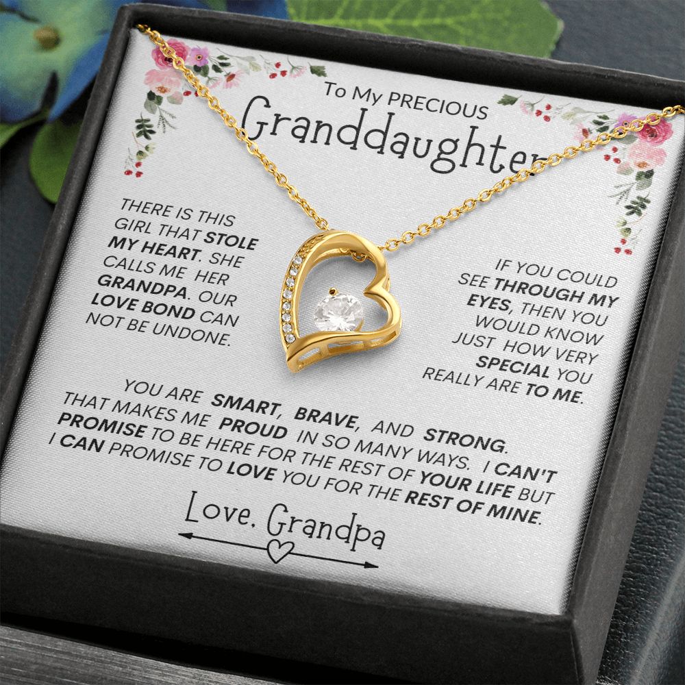 Granddaughter "This Brave, Smart, Strong Girl Stole My Heart " l Forever Love Necklace